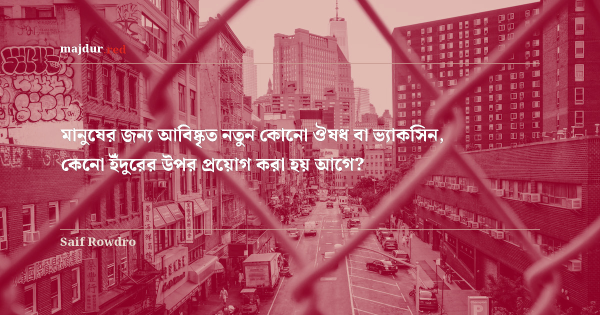 মানুষের জন্য আবিষ্কৃত নতুন কোনো ঔষধ বা ভ্যাকসিন, কেনো ইঁদুরের উপর প্রয়োগ করা হয় আগে?