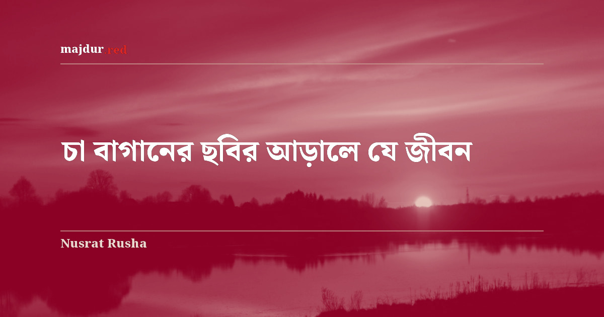 চা বাগানের ছবির আড়ালে যে জীবন